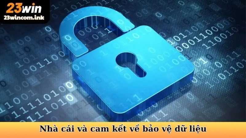 Nhà cái và cam kết về bảo vệ dữ liệu